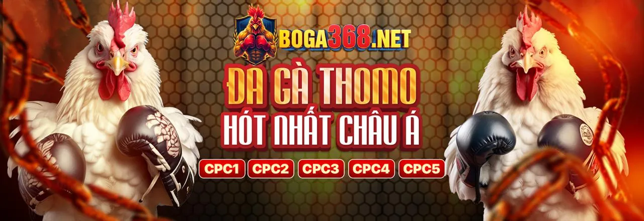 Đá Gà Trực Tuyến okking bet - Sân đấu sống động