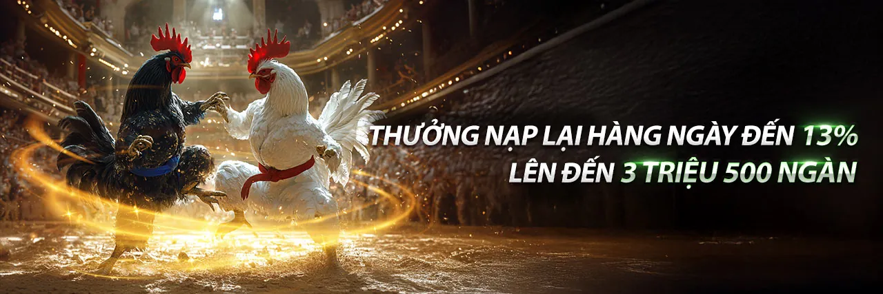 Giới thiệu về okking bet và đội ngũ chuyên nghiệp