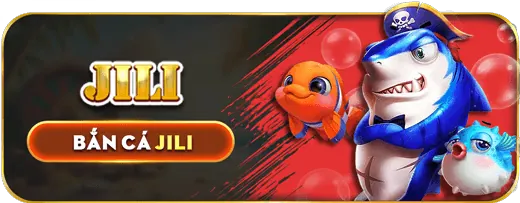 Bắt đầu chơi tại okking bet