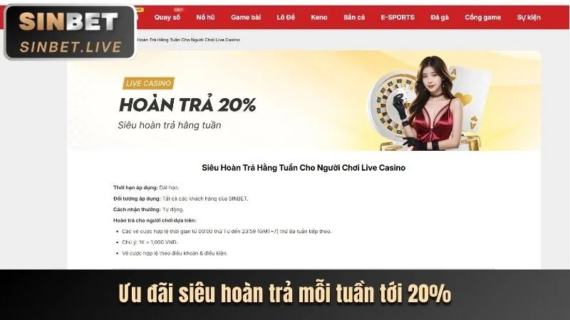 Ưu Đãi Đặc Biệt Dành Cho VIP